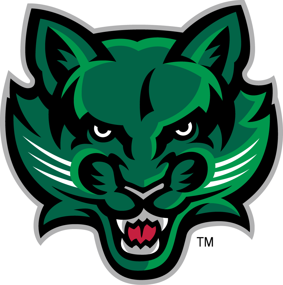 Binghamton Bearcats 2001-Pres Secondary Logo 03 vinyl decal